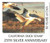 SDCA26e  - 1995 California State Duck Stamp