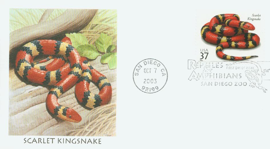 3814 - 2003 37c Reptiles and Amphibians: Scarlet Kingsnake - Mystic Stamp  Company