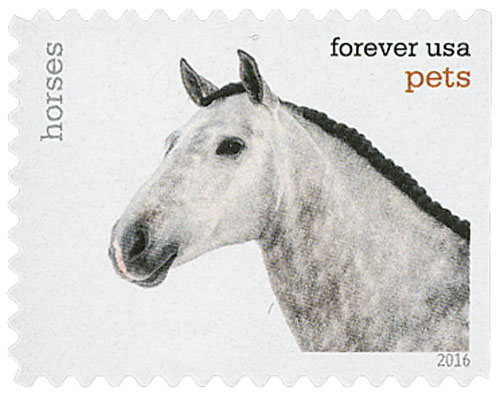 5122 - 2016 First-Class Forever Stamp - Pets: Cats - Mystic Stamp Company