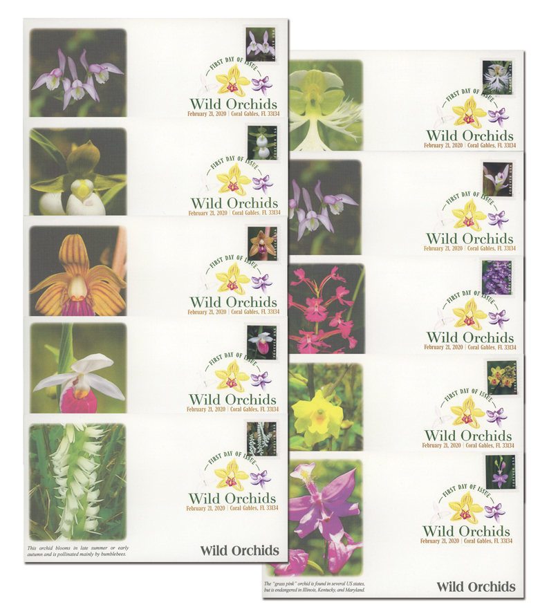 Wild Orchids 5 Books of 20 USPS Postal First Class Forever US Postage  Stamps Birthday Wedding Celebration Engagement Anniversary Bridal Shower