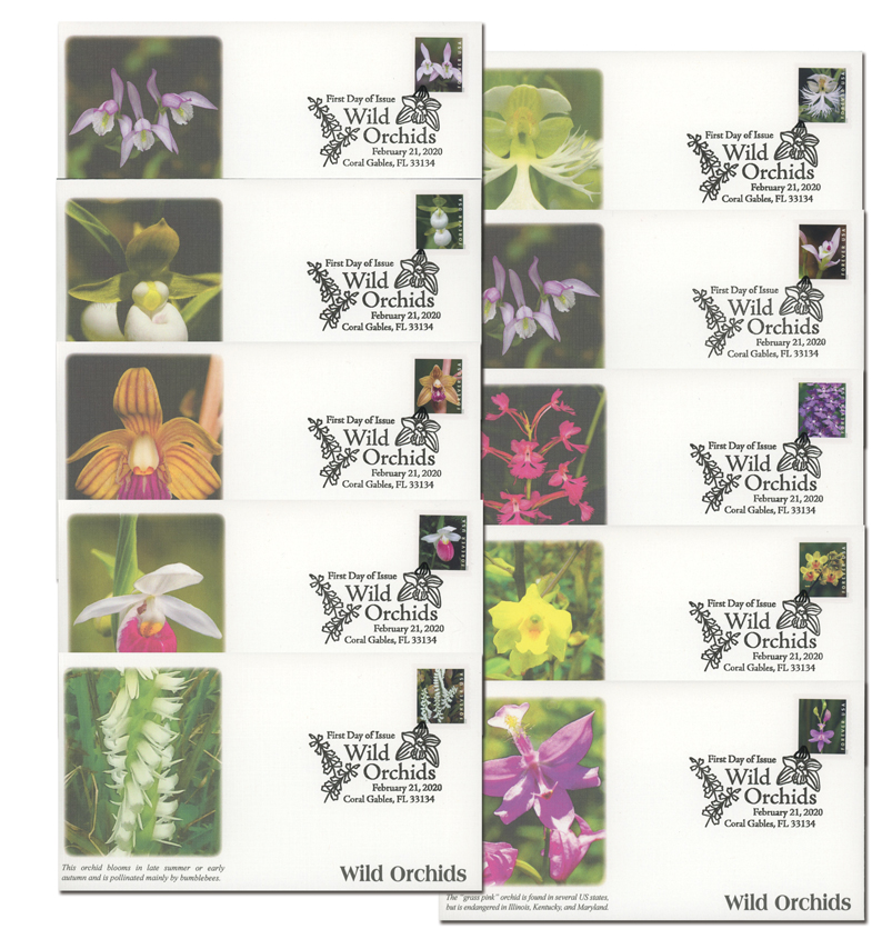 Wild Orchids 5 Books of 20 USPS Postal First Class Forever US Postage  Stamps Birthday Wedding Celebration Engagement Anniversary Bridal Shower