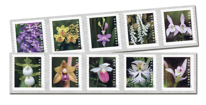 Wild Orchids Set of 10 Forever stamps / Mail Wedding Invitations