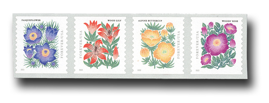 5655 - 2022 First-Class Forever Stamp - Flags (Banknote Corporation of  America, Coil of 3k & 10k) - Mystic Stamp Company