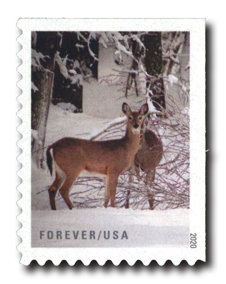 5541 - 2020 First-Class Forever Stamps - Winter Scenes: Belgian Draft  Horses - Mystic Stamp Company