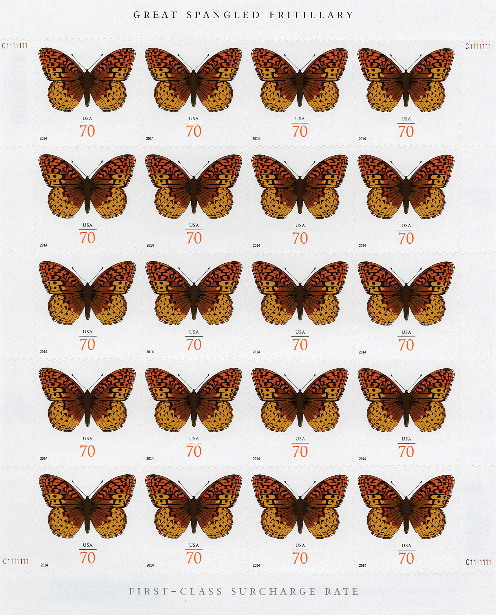 Regal Fritillary Butterfly Decals - Saber-Tooth Co.