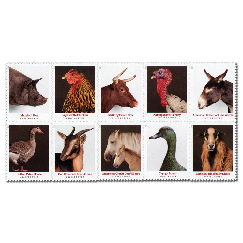 5583-92 - 2021 First-Class Forever Stamps - Heritage Breeds - Mystic Stamp  Company