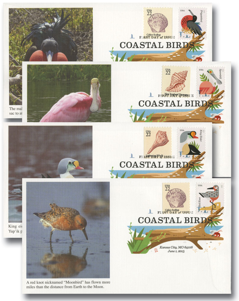 4991-98 - 2015 Coastal Birds, set of 8 stamps - Mystic Stamp Company