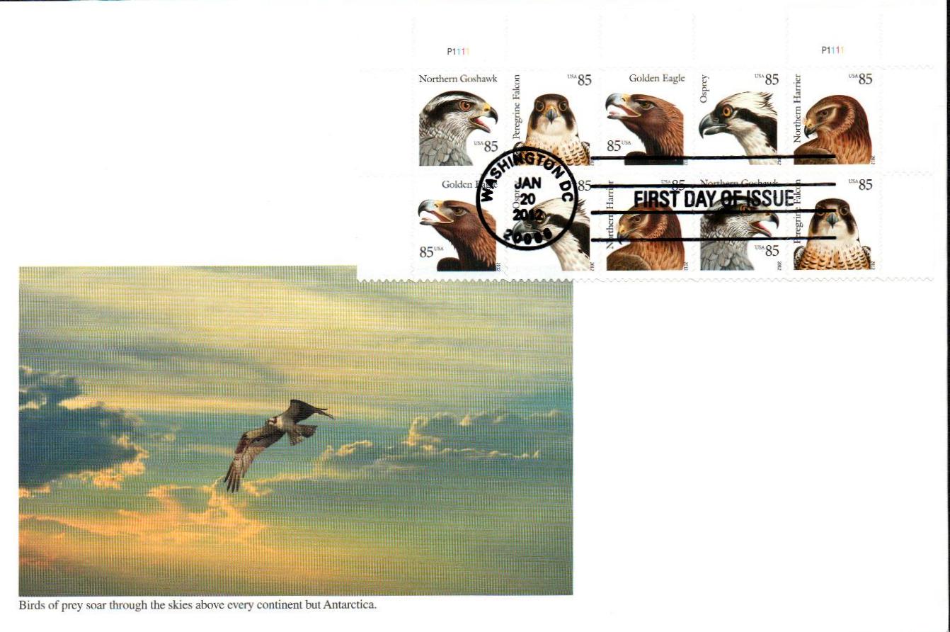 2012 Birds of Prey 85 Cents Forever Collectible Stamps For mailing(20c –  FallenCollector