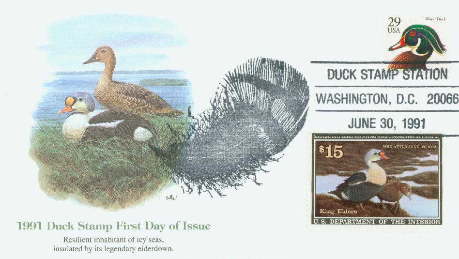 10 Duck Postage Stamps Unused 51 Cent King Eider Coastal Bird Postage –  Edelweiss Post