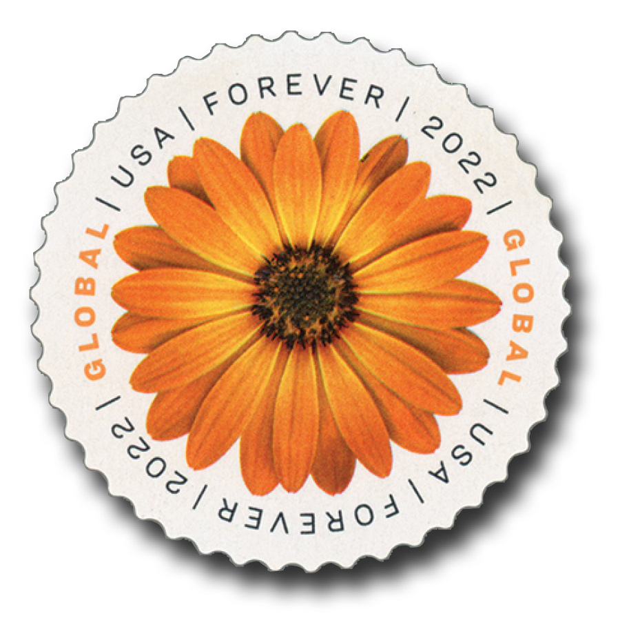 USPS African Daisy Flower Global US First Class International Current Rate  Forever Postage Stamps Wedding (20 Stamps) (580100)