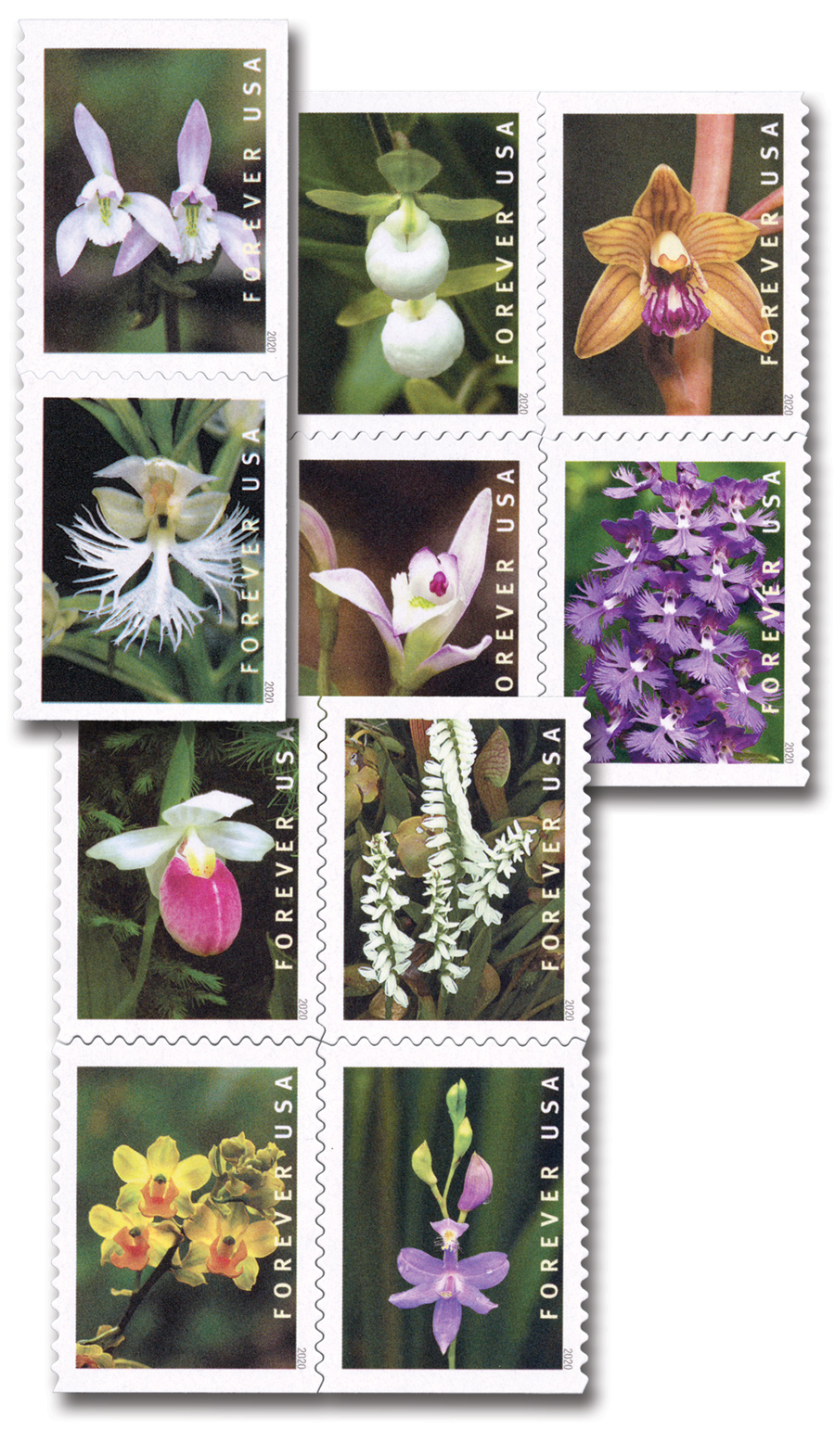 Wild Orchids Set of 10 Forever stamps / Mail Wedding Invitations