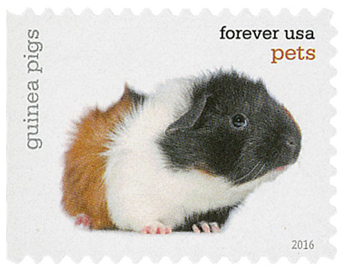 5122 - 2016 First-Class Forever Stamp - Pets: Cats - Mystic Stamp Company