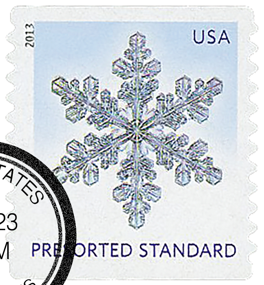 Paper Source Snowflake Stamp