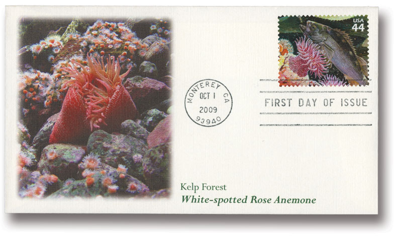 4423e - 2009 44c Kelp Forest: Rockfish and White Spotted Rose Anemone -  Mystic Stamp Company