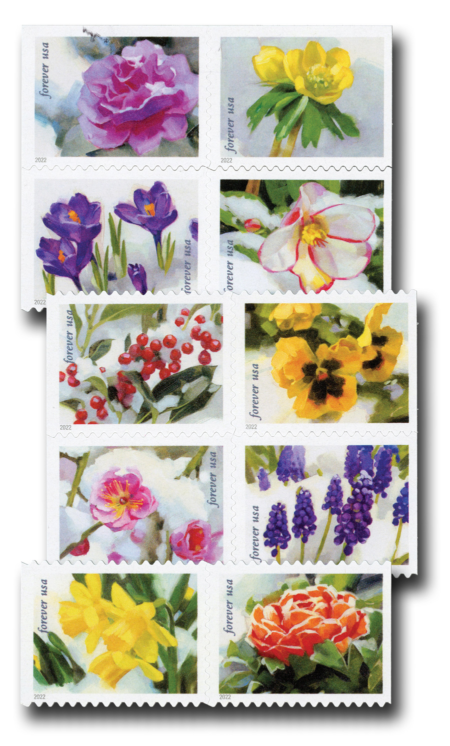 2022 Global Forever International Mail African Daisy Postage Stamps (1  Sheet, 10 Stamps)
