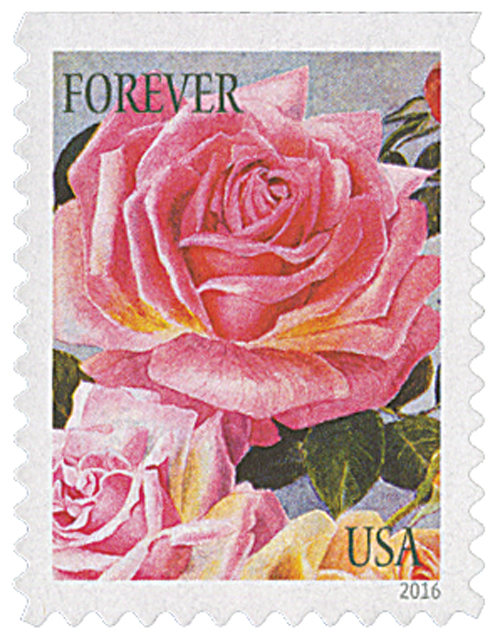 5047 - 2016 First-Class Forever Stamp - Botanical Art: Roses