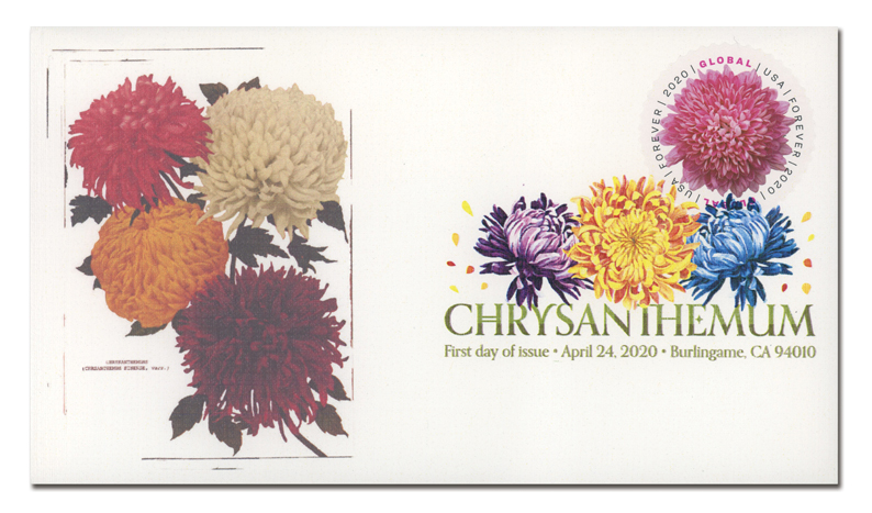 U.S. issuing Chrysanthemum global forever stamp April 24