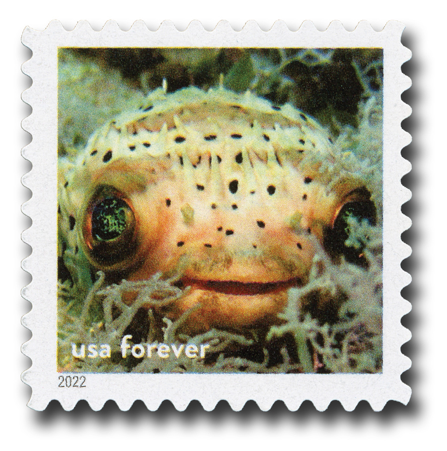 5298s - 2018 First-Class Forever Stamp - Canaveral National Seashore,  Florida - Mystic Stamp Company