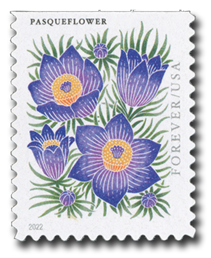 Beautiful Mountain Flowers Featured on New Stamps - Newsroom