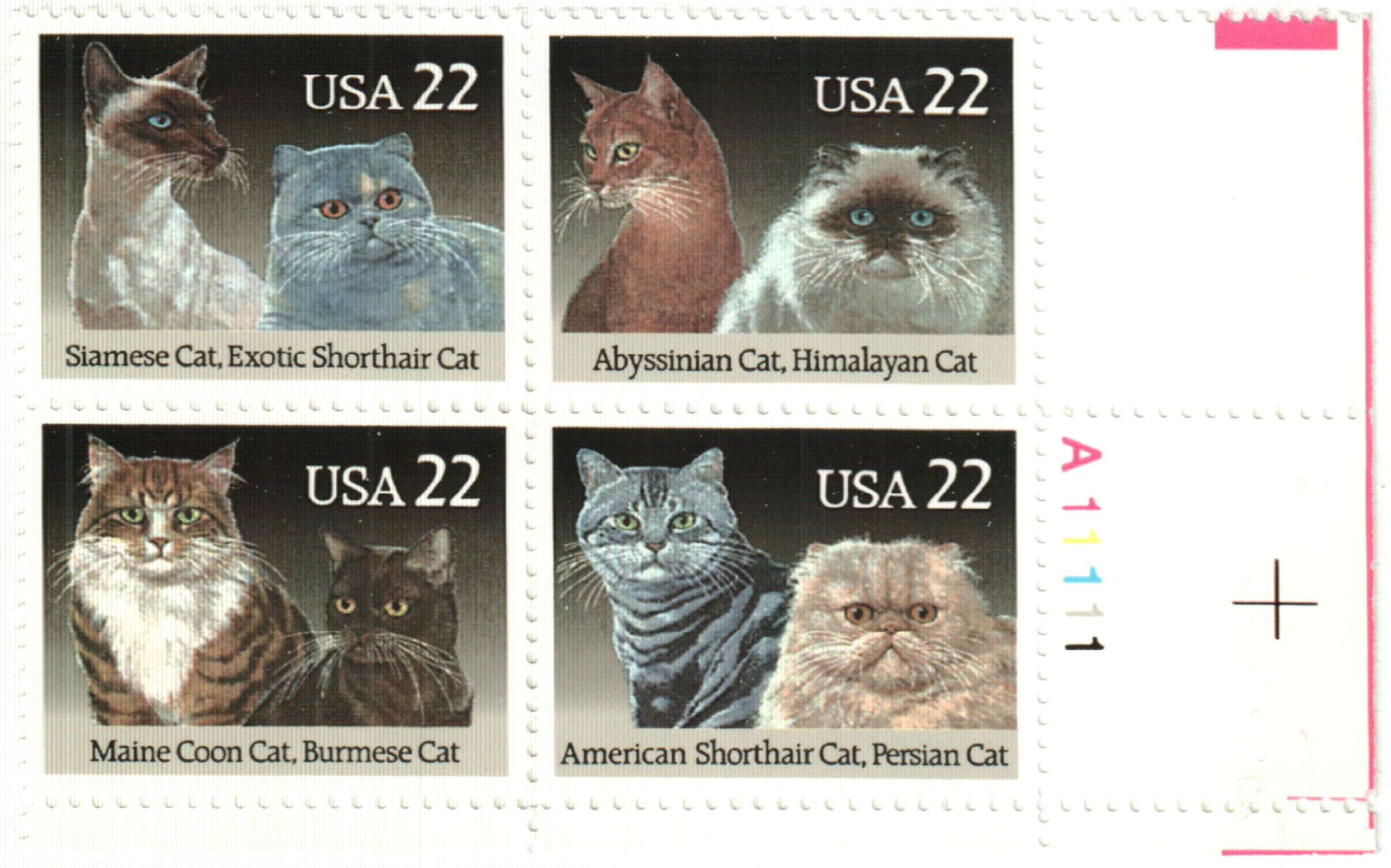 Old Made Gray Cat Stamp Yardage | SKU# C10599-GRAY