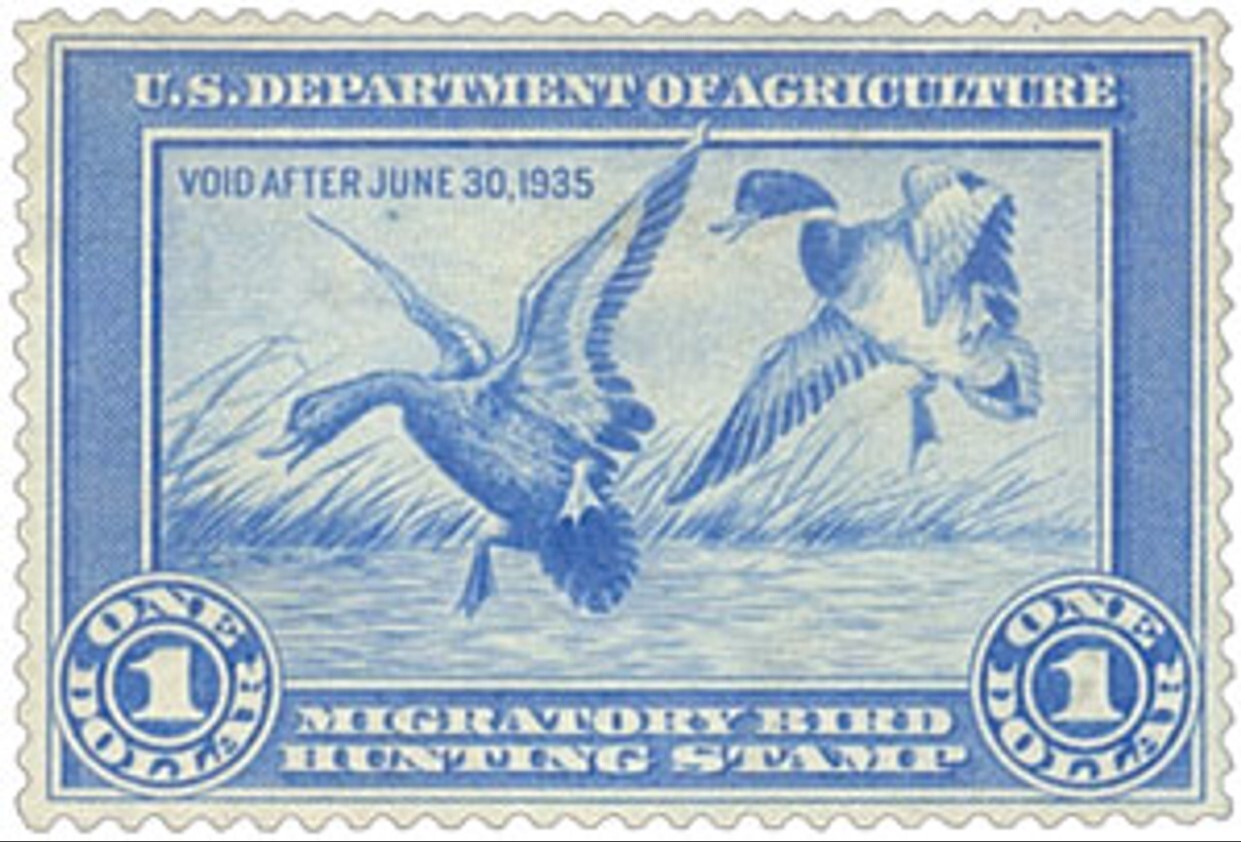 Duck Stamps