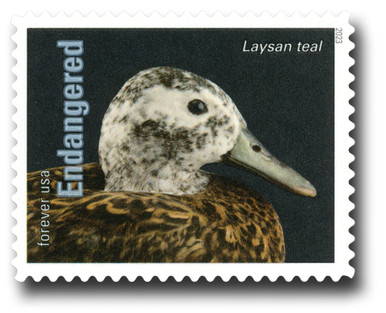 Forever Postage Stamps - Platypus Papers