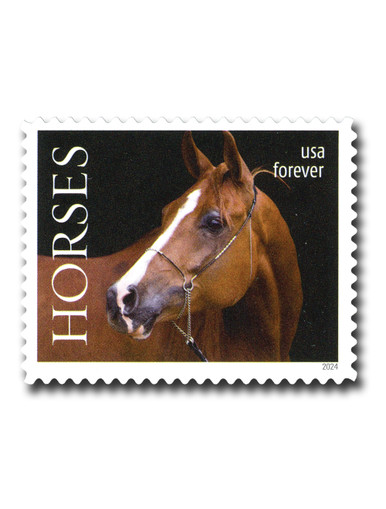 Colorado Hairstreak Stamps($1.03 Non-Machineable For Square Envelopes