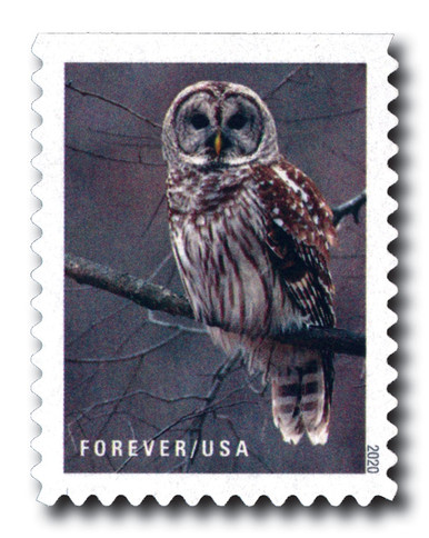 5534 - 2020 First-Class Forever Stamps - Winter Scenes: Snowy