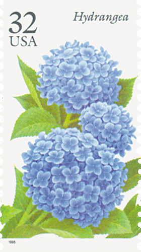 Hydrangea Stamp - Simply Stamps