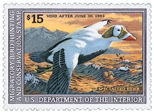 10 Duck Postage Stamps Unused 51 Cent King Eider Coastal Bird