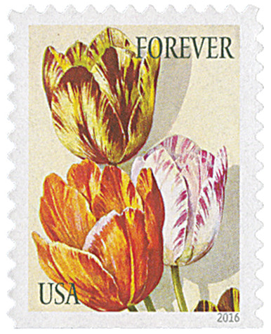 5049 - 2016 First-Class Forever Stamp - Botanical Art: Orange, Yellow and  Purple Tulips