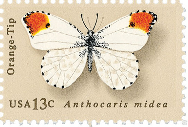 1714 - 1977 13c Butterflies: Dogface - Mystic Stamp Company