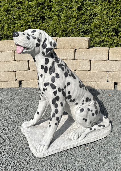 27" Dalmation