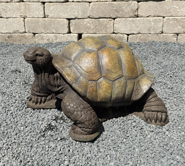11" Medium Turtle