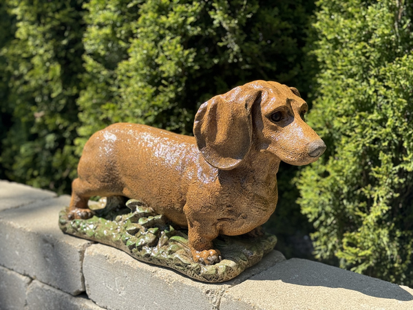 12" Dachshund