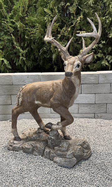 44" Standing Buck