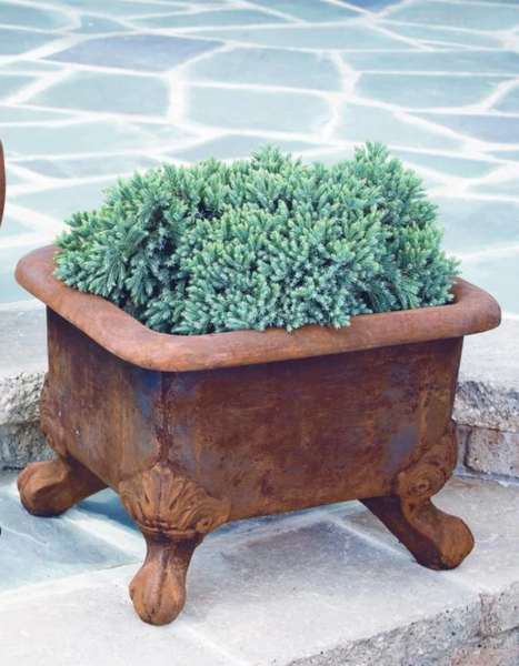 15" Basin Planter with Feet