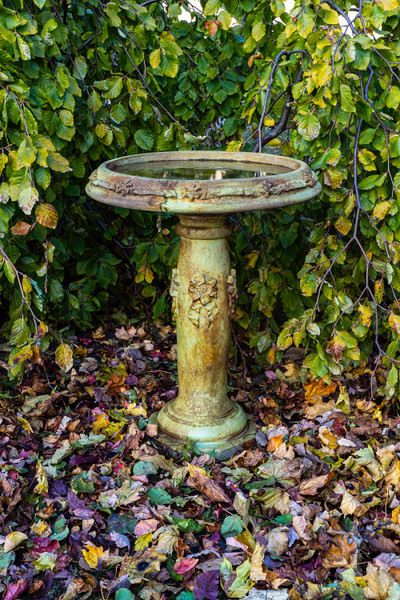 26" Ribbon Birdbath