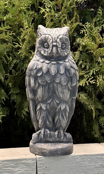 23" Owl