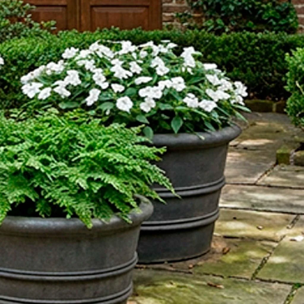 15" Galerie Planter