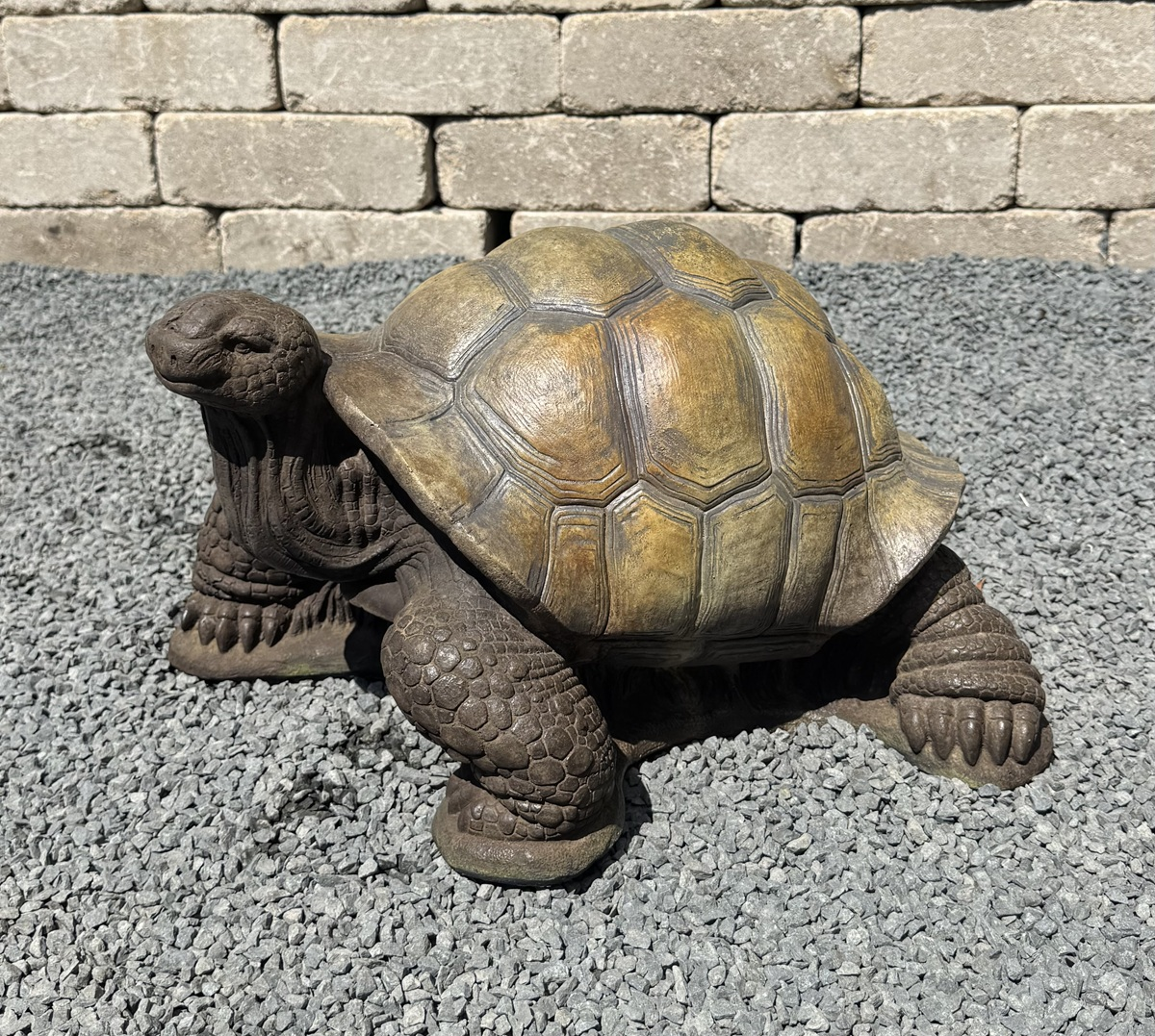 11" Medium Turtle