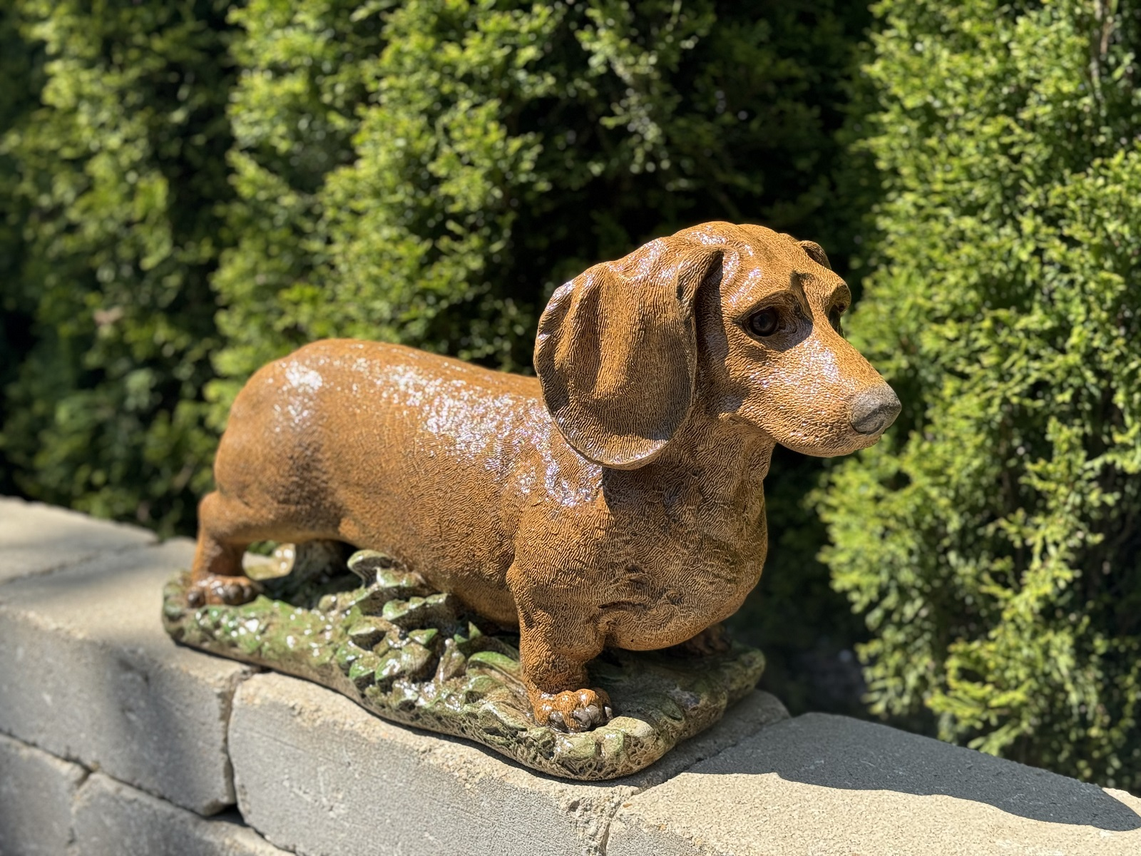 12" Dachshund