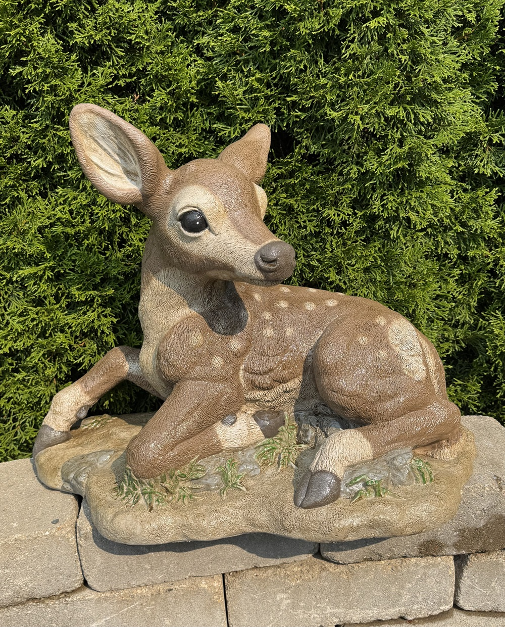 19" Fawn Rising On One Leg