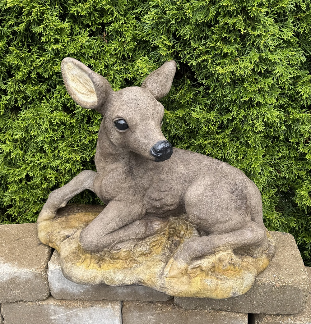 19" Fawn Rising On One Leg