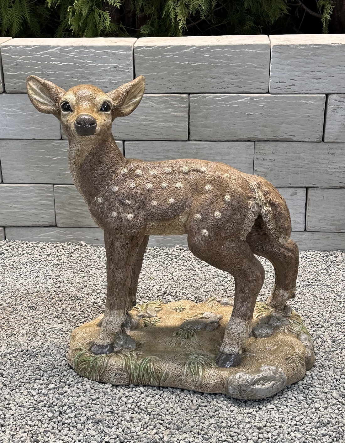 26" Standing Fawn