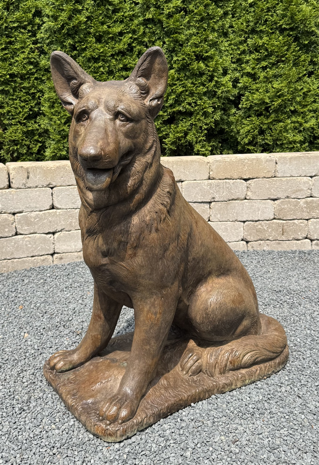 35" German Shepard
