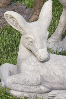 13" Laydown Fawn - Head Down