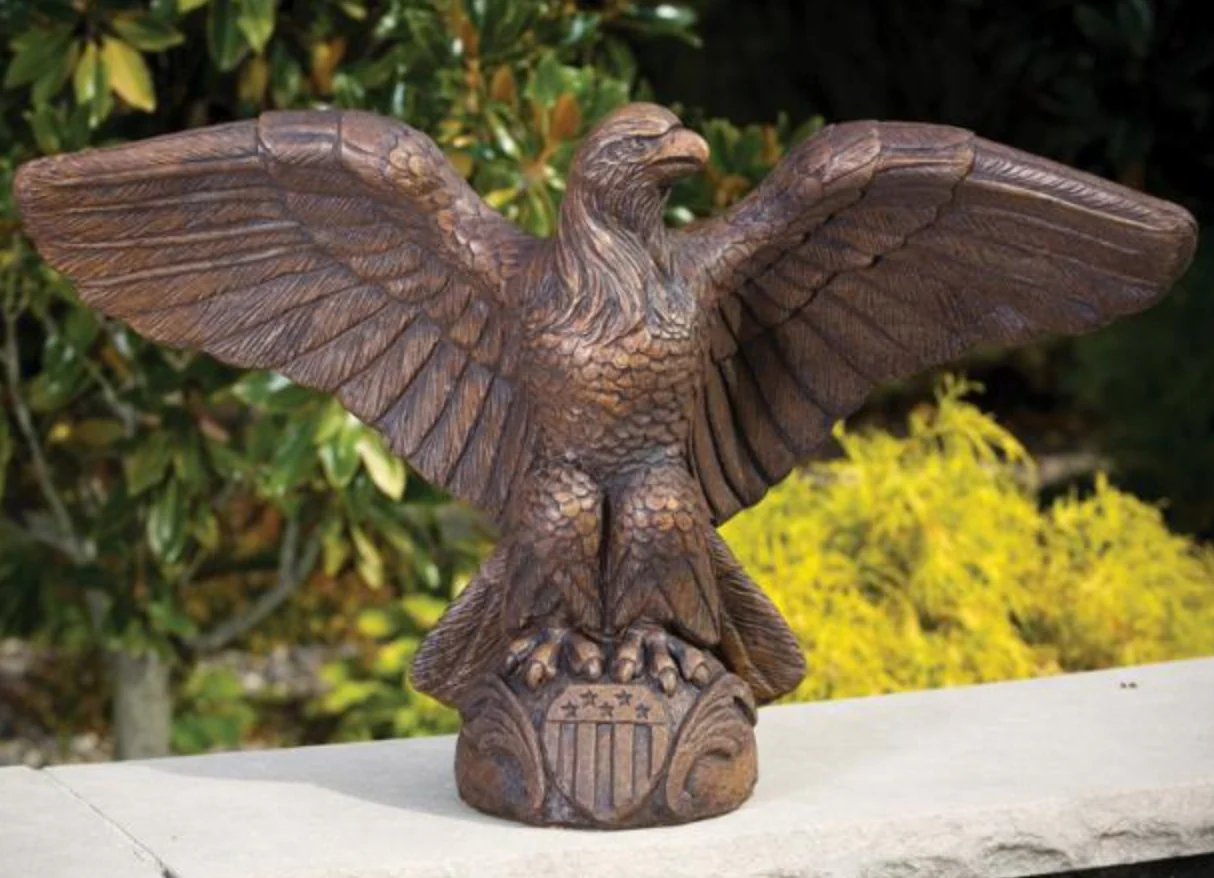 19" American Eagle