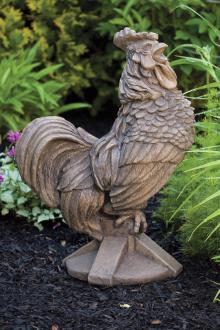 25" King of the Roost