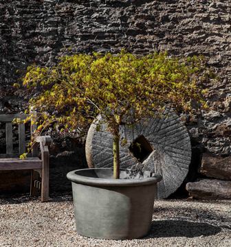 20" Palo Alto Low Planter